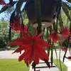 Karen Stevenson - @karen.stevenson2 - TikTok