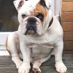 Karen Stevenson - @karenstevenson9091 - Instagram