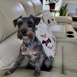 Karen St John - @karen.stjohn.9674 - Instagram