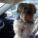 karen stjohn - @stjohn9910 - Instagram