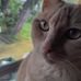 Karyn Thornton - Facebook