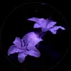 Kasandra - @kasandra.lopez60 - TikTok