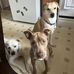 Kasandra Richardson - Facebook