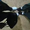 Cassandra ward - @cassandra.ward8 - TikTok