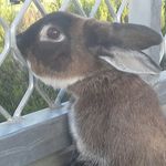 Kasey - @kasey_abbott - Instagram
