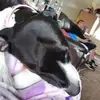 kaseyayers319 - @kaseyayers319 - TikTok