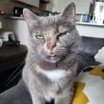 Casey Babb - @babblerbrown - Instagram