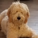 Casey Baxter - @caseybaxter7 - Instagram