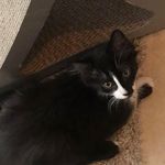 @kasey_baxter2007 - Instagram