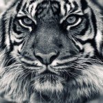 Kasey - @kasey_bean - Instagram