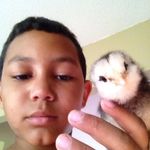 Kasey - @kaseybeard21 - Instagram