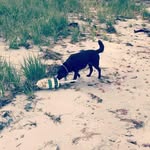 Best Kasey - @best_kasey - Instagram