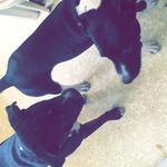 Kasey Bowen - @kasey_and_kayla_02 - Instagram