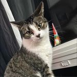 Kasey Burt - @kasey021383 - Instagram