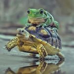 Casey Cain - @beaverstinkslikefish - Instagram