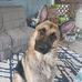 Casey Comer - Facebook