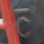 Casey Cooley - @barcbuckingbulls - Instagram