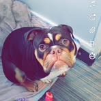 Kasey Edwards - Facebook