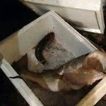 Kasey Edwards - @kasey_edwards - Instagram