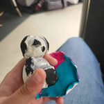 Kasey Foley - @kaseyfoley46gmail78 - Instagram