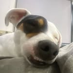 Kasey Ford - @kaseynford - Instagram