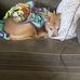 Casey Gross - Facebook