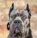 Casey Havens - Facebook