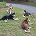 Casey Hedrick - Facebook