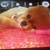 kasey holt - @o.f.c.kasey10 - TikTok