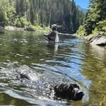 Kasey Johnson - @kasey_johnson270 - Instagram