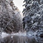 Kasey Keller - @kaseykeller_ - Instagram