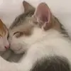 julka<3 - @kochamkasey - TikTok
