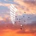 Kasey Liston - Facebook
