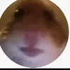 kasey..main - @x.kasey_lucy.x - TikTok