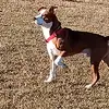 Kc - @kasey.marks - TikTok