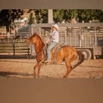Casey Neff - @casey_neff_ - Instagram