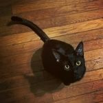 Kasey Ogle - @bookloverk - Instagram
