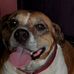 Casey Painter - Facebook