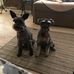 Kasey Parrish - Facebook