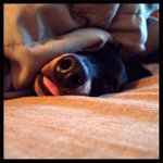 Kasey Reed - @kaseyreedm - Instagram