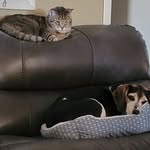 Kasey Ringger - @kaseyringger - Instagram
