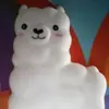 kaseyshaw1208 - @kaseyshaw1208 - TikTok