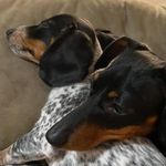 Kasey Sims - @kasims2179 - Instagram