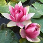Kasey H Vuong - Facebook