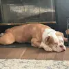 Kash Johnson - @kash.johnson49 - TikTok