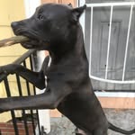 Kashjones - @kashjones242_ - Instagram