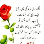 Kashaf Khan - @kashaf1677 - Instagram