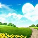 Kashif Rasheed - @kashif9310 - Instagram