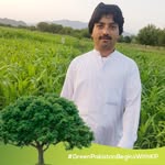 Kashif Ullah - @kashif.ullah.7545 - Instagram