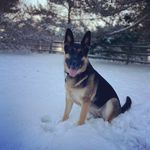 Kasi Johnson - @kasi_adventures - Instagram